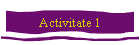 Activitate 1