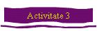 Activitate 3