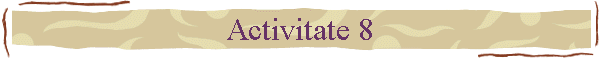 Activitate 8